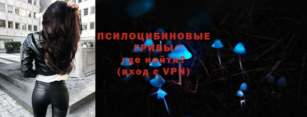 ПСИЛОЦИБИНОВЫЕ ГРИБЫ Абдулино